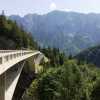 1000 IMG 5164 (Small)